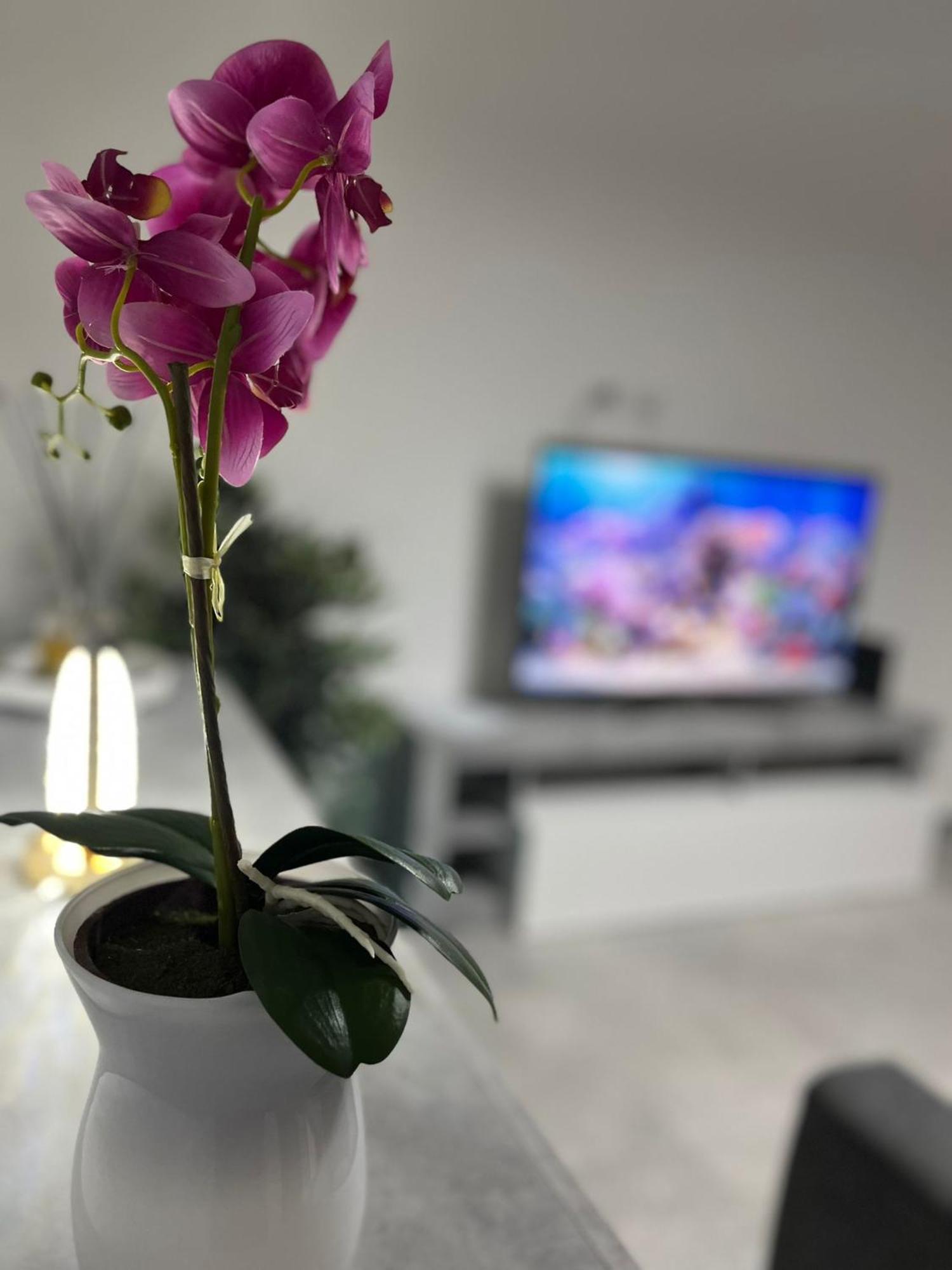 Goodbye Moon Apartment Brindisi Ngoại thất bức ảnh